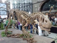 /album/galeria-de-fotos/exposi%c3%a7%c3%a3o%20dinossauros%20patagonia-jpg/